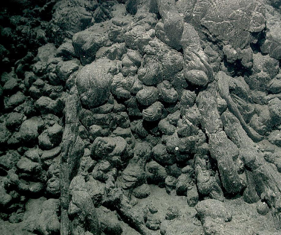 Lava haystack made of steeply dipping pillow lavas that erupted from a volcanic vent on the southern Juan de Fuca Ridge. Michael Perfit and the Monterey Bay Aquarium Institute